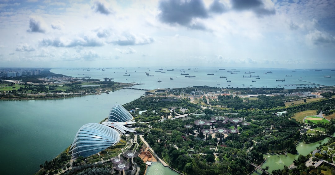 Singapore Free Trade Zones: Changi, Jurong, and Licensed Warehouses
