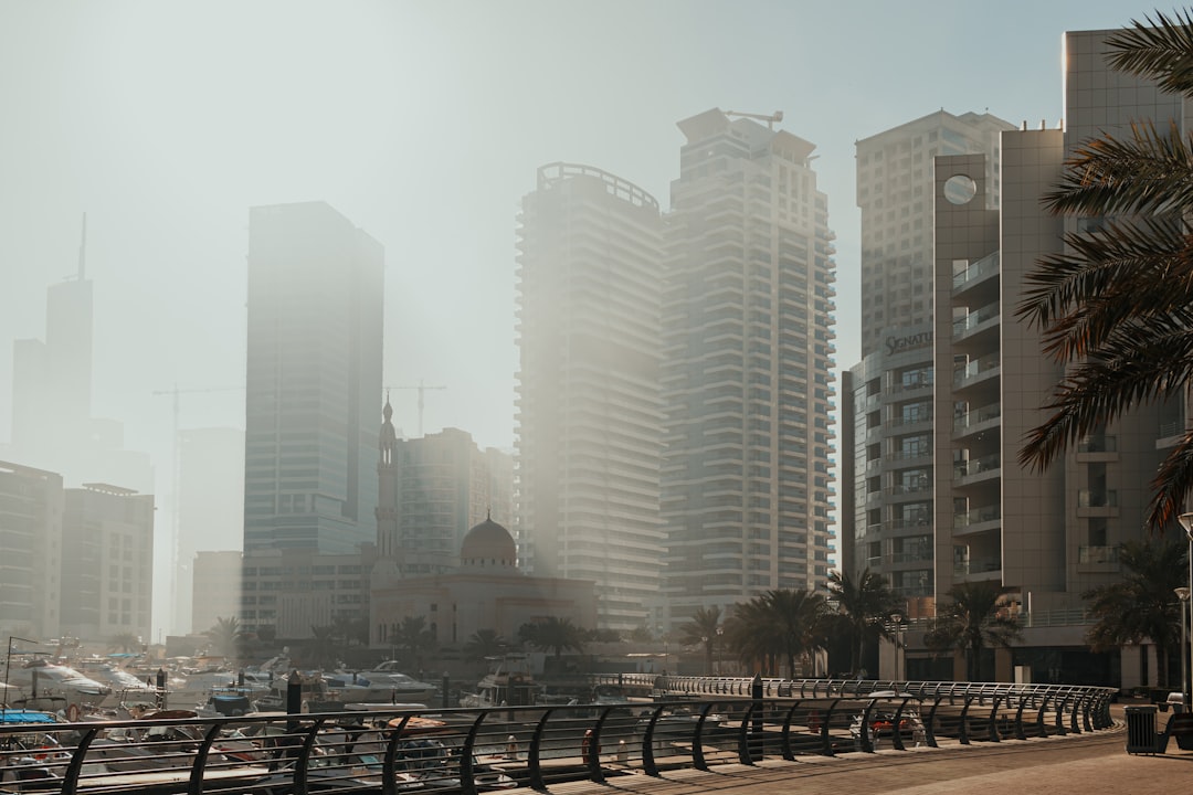 Dubai Free Zones Comparison 2026: DMCC vs JAFZA vs IFZA vs Meydan